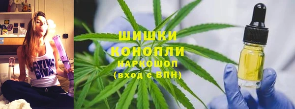 гашик Богородицк