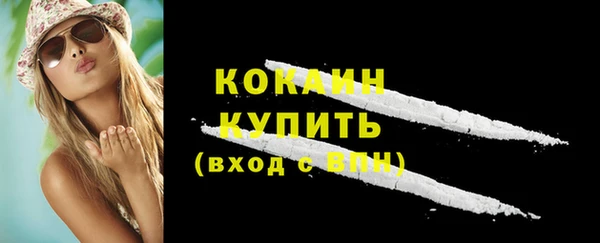 гашик Богородицк