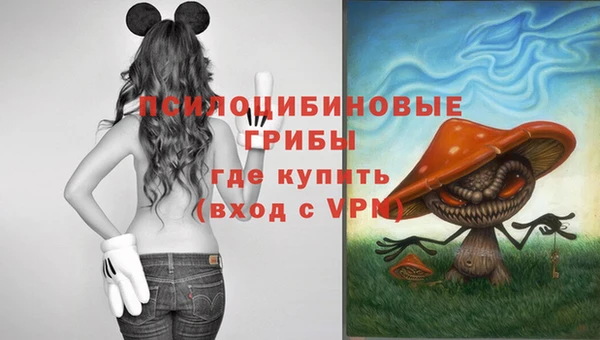 прущие грибы Белоозёрский