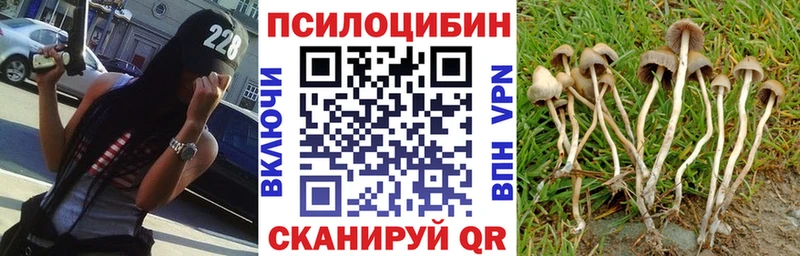 Псилоцибиновые грибы GOLDEN TEACHER Купить Балахна